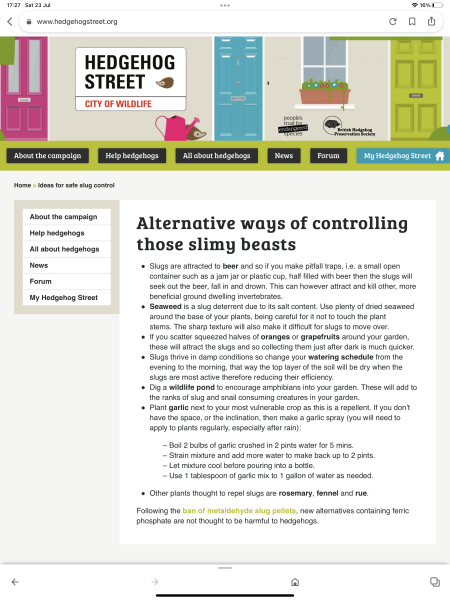 Best slug killer U.K.?