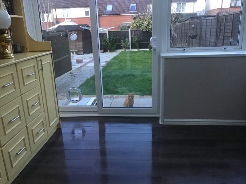 Apparently I opened the wrong door. 