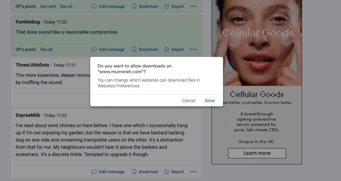 'Do you want to allow downloads on mumsnet.com?'