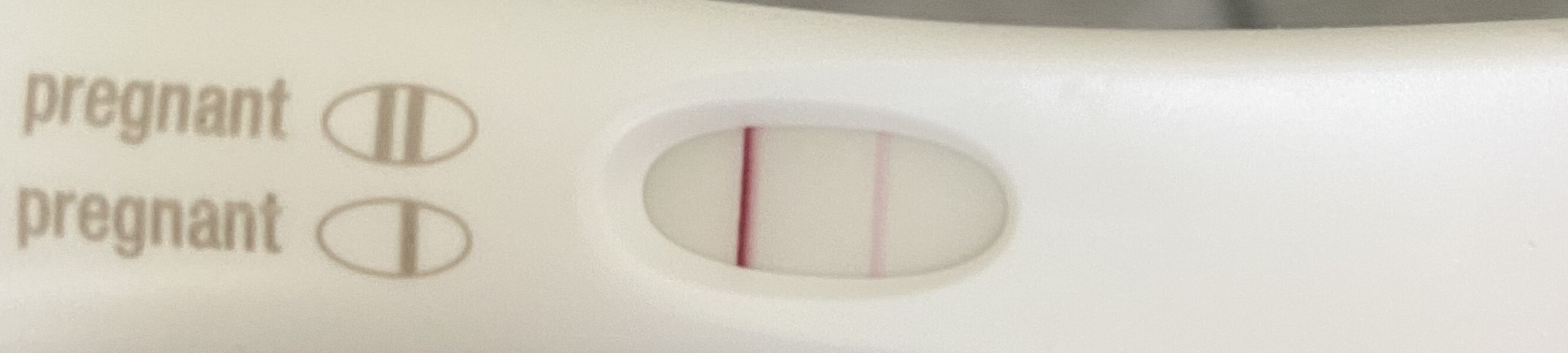 TTC immediately after miscarriage 
