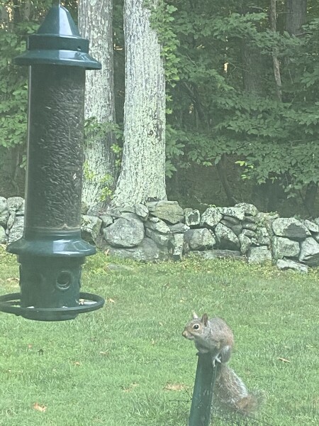 Come and tell me your dull and unexciting news 23: Calmly through the day 