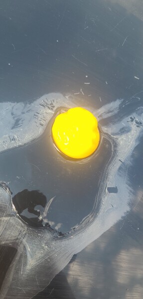 To see if I can cook an egg on my patio in this heat.