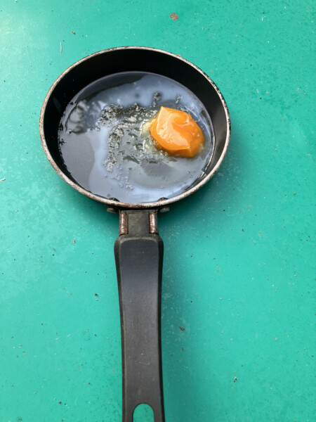 The great Eggsperiment taking place on 19th July/ Aka EGG WARS 