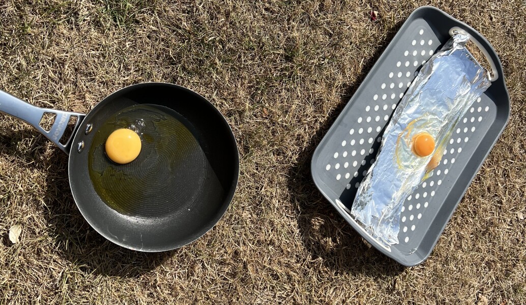 The great Eggsperiment taking place on 19th July/ Aka EGG WARS 