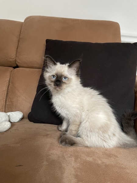 Cancer Support Thread 83 - Here comes the sun (hopefully) 