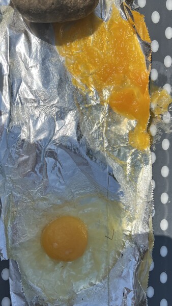 The great Eggsperiment taking place on 19th July/ Aka EGG WARS 