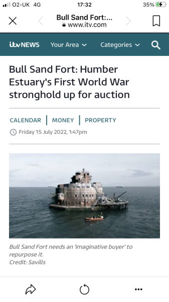 Auction - can this work? How? 