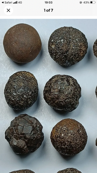 My mum found this in the garden... 