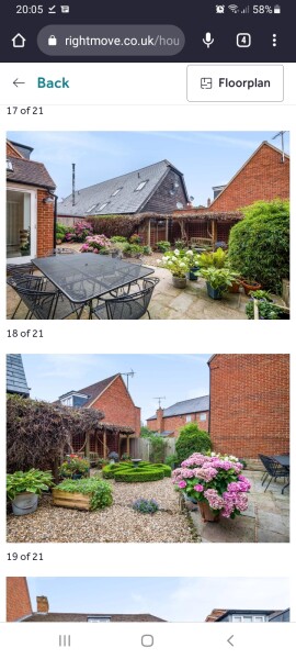 What would you do with this garden?
