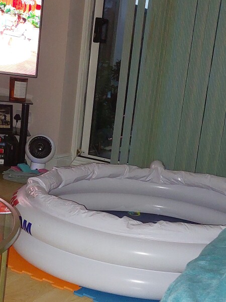 Heatwave - what are you doing - VERY Worried