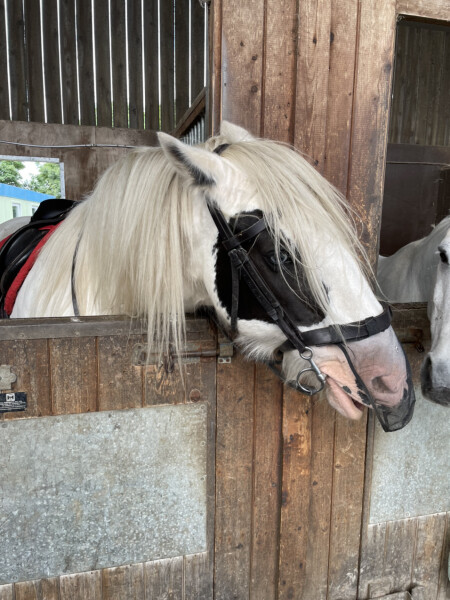 Adult new or returning riders up for a chat?