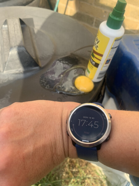 To see if I can cook an egg on my patio in this heat.