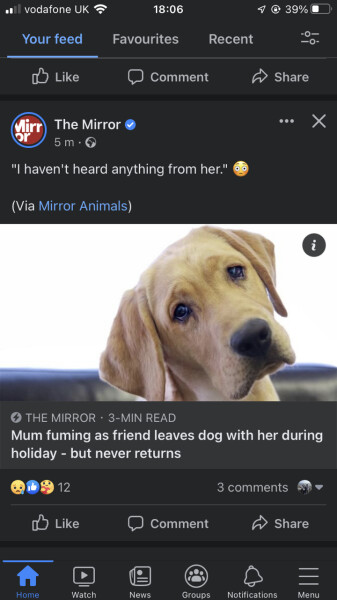 My friend has left her dog with me