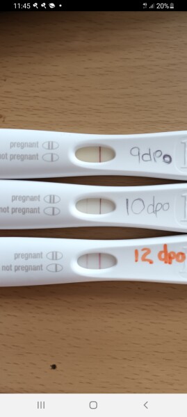 12dpo line progression 