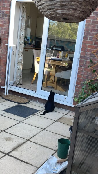Apparently I opened the wrong door. 