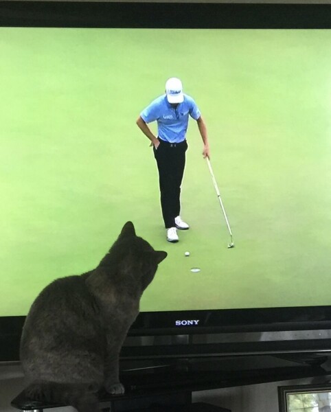 Swagger Inn 171.  Spring is just around the corner, but the HBFs still need their overcoats to keep us warm.