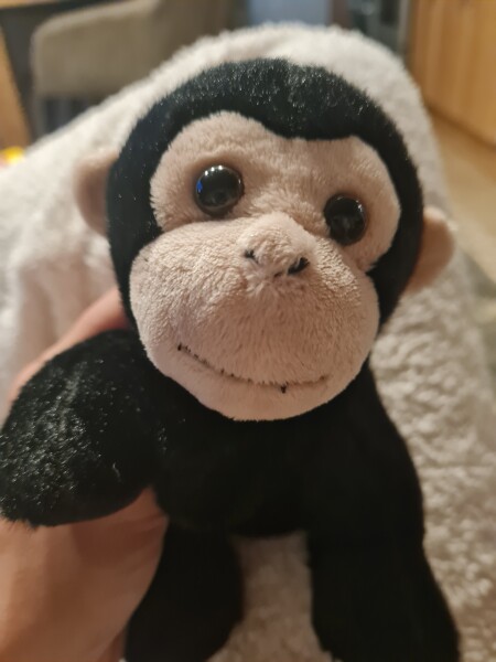 To throw teddies or not