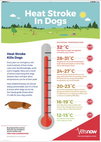 Dog owners, are you walking them today?