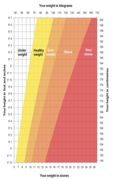 AIBU to think my dd is overweight