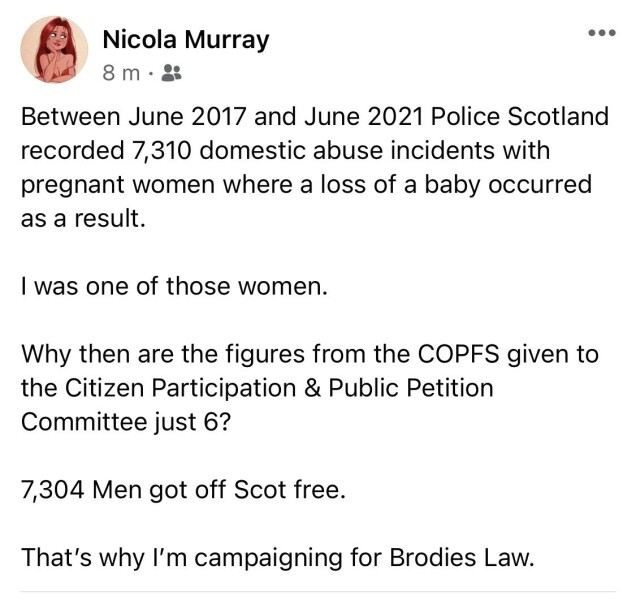 7310 babies lost in domestic abuse