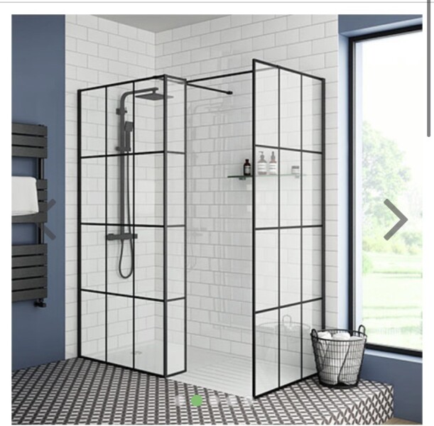 Has anybody ever seen this shower screen, not in black?