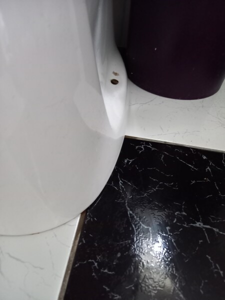 Is my toilet leaking?