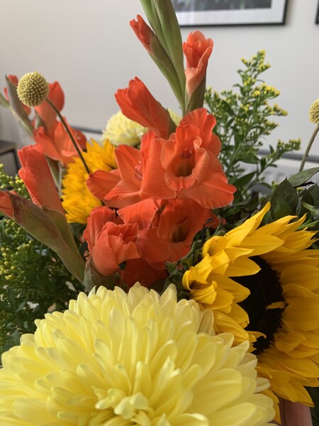 Freddie's free box of flowers