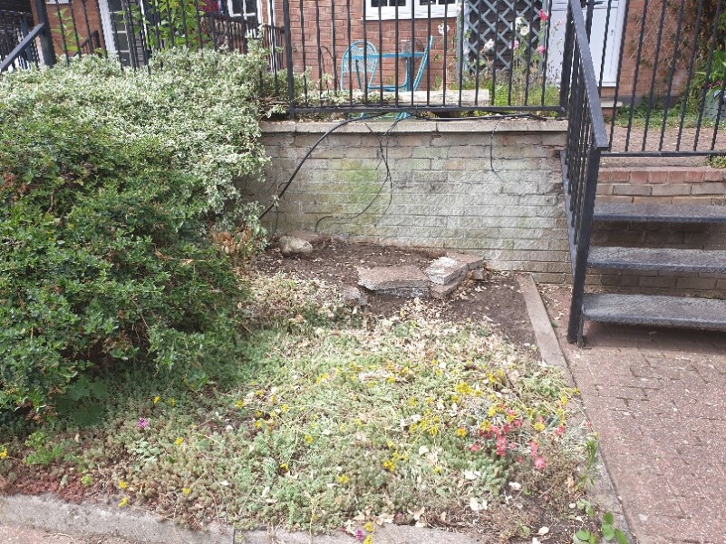 What should I do with front garden