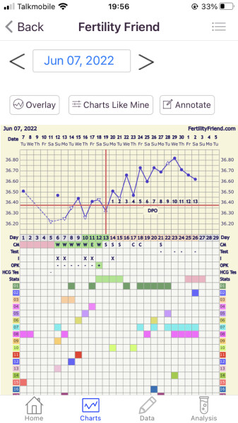 Negative test 13dpo, AF one day late... is there still hope?