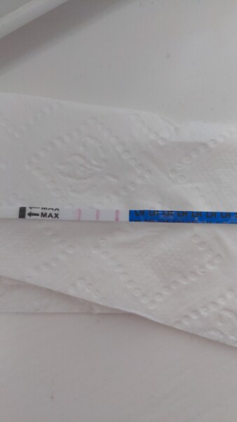 EWCM BUT NO POSITIVE OPK.... WHEN TO DTD?