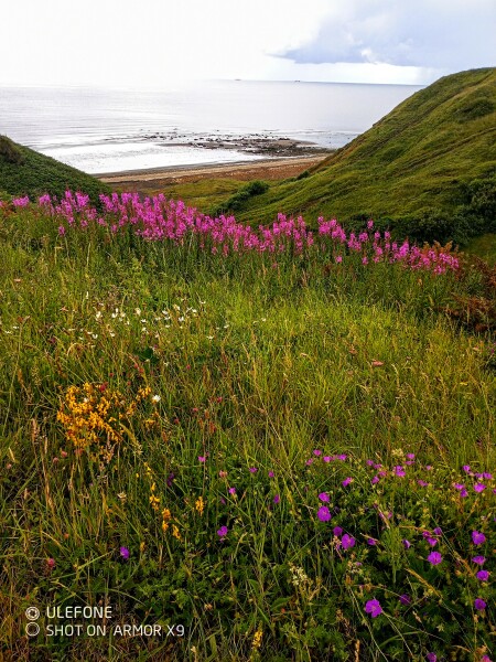 Come chat hiking with me!