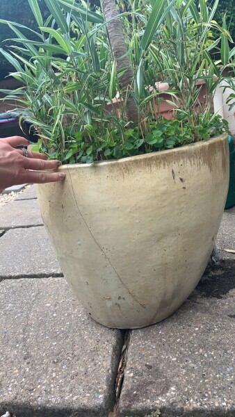 Can you help me save this pot please? (Pic)