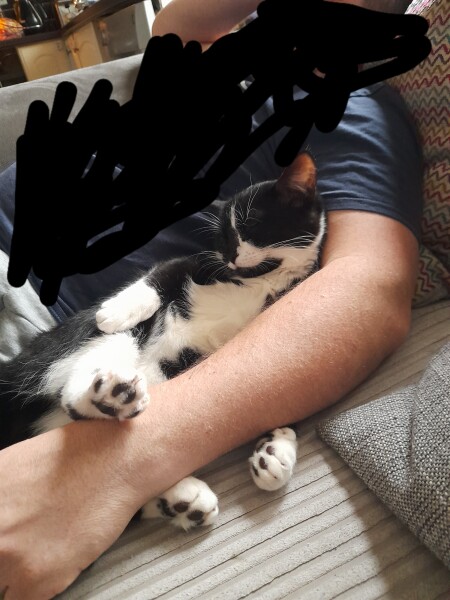 My cat likes to sleep...