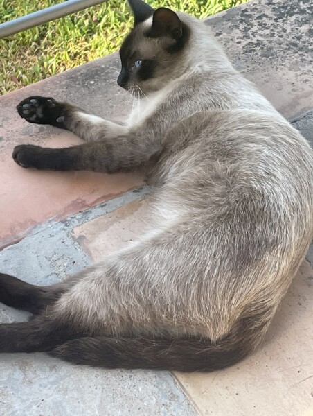 MsLatté’s Daebak Cybercafé (Kdrama addicts #34): July brings internal conflict. Make the most of sunshine and the long days, or keep on top of your kdrama? 🤔