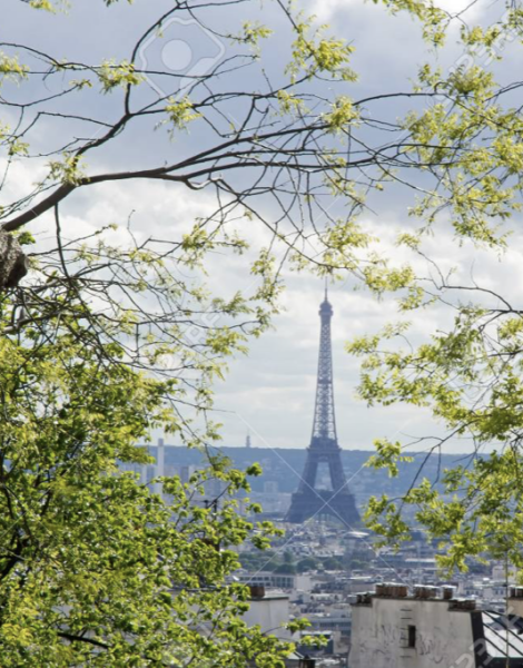 Are there any MNers living in Paris?