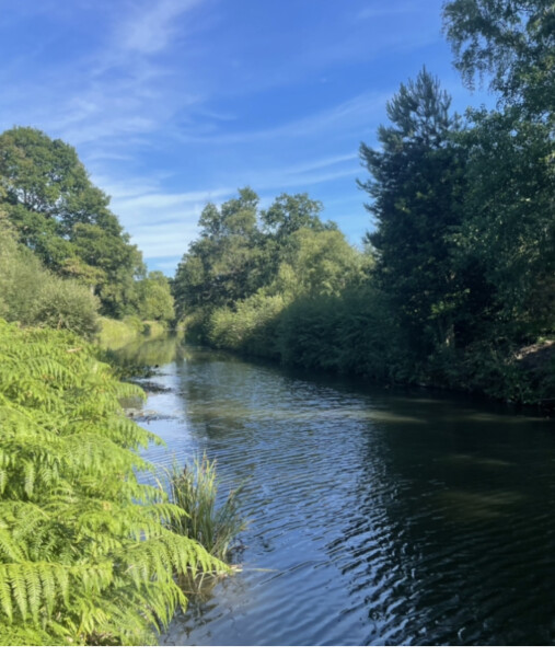 Come chat hiking with me!