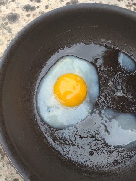 The great Eggsperiment taking place on 19th July/ Aka EGG WARS 