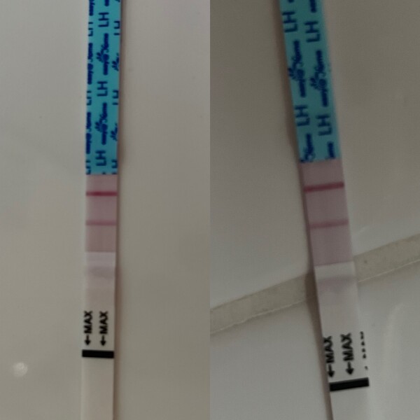Ovulation tests - confused!