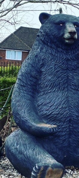 A large bear has appeared in my brother in laws drive... 