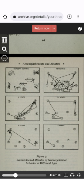 ADHD in toddler girl
