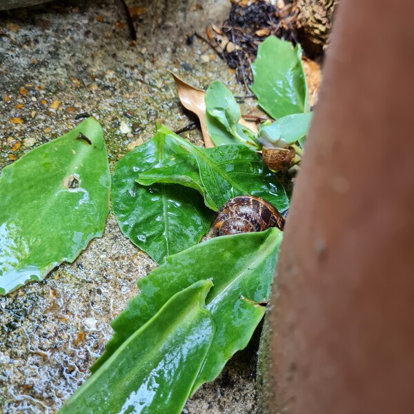 Don’t forget to put out water for birds!