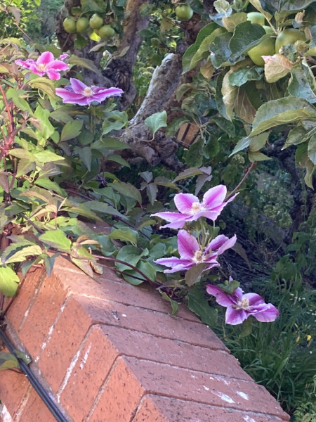 Show Us Your Pictures 6