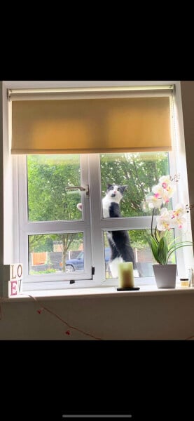 Apparently I opened the wrong door. 