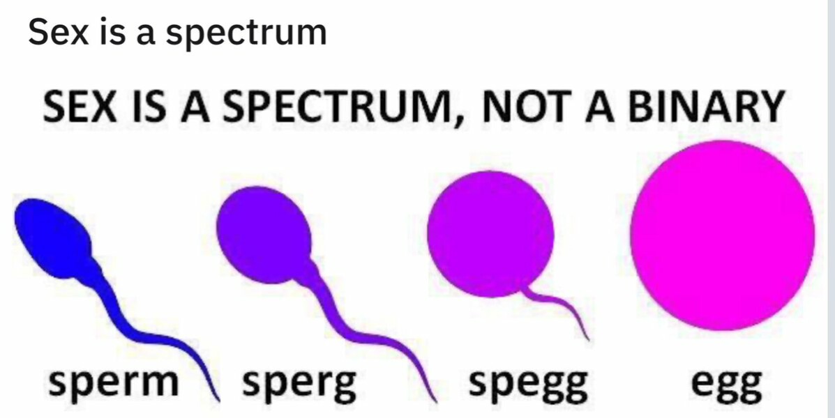 WHO - "sex is not limited to male and female".