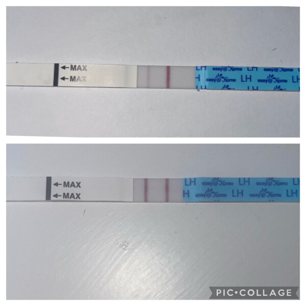 OPK