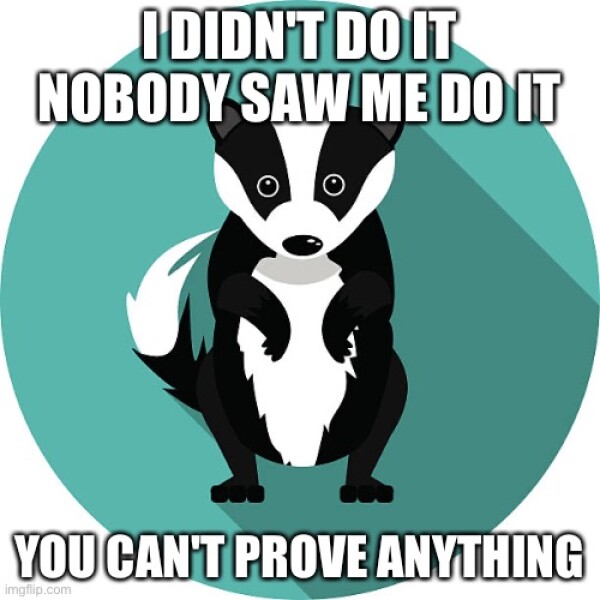 What has broken into our locked food waste caddy?!