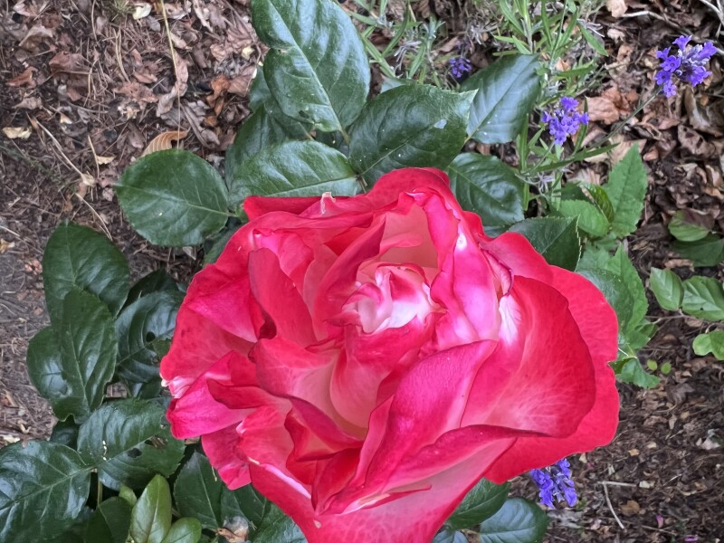 Show Us Your Pictures 6