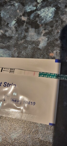 TTC chat thread 3