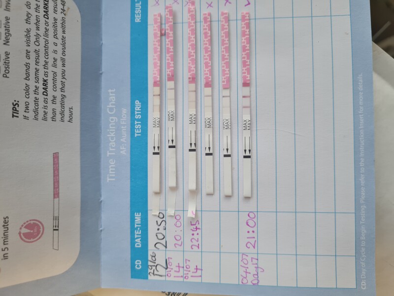 Positive OPK on CD17 of 28/29 day Cycle?!