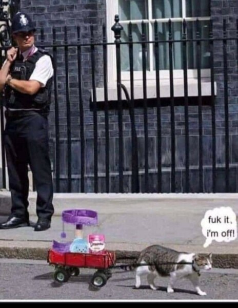 Johnson has fired Gove